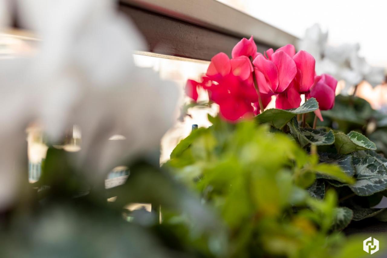 Daydreaming House Hotel Verona Bagian luar foto